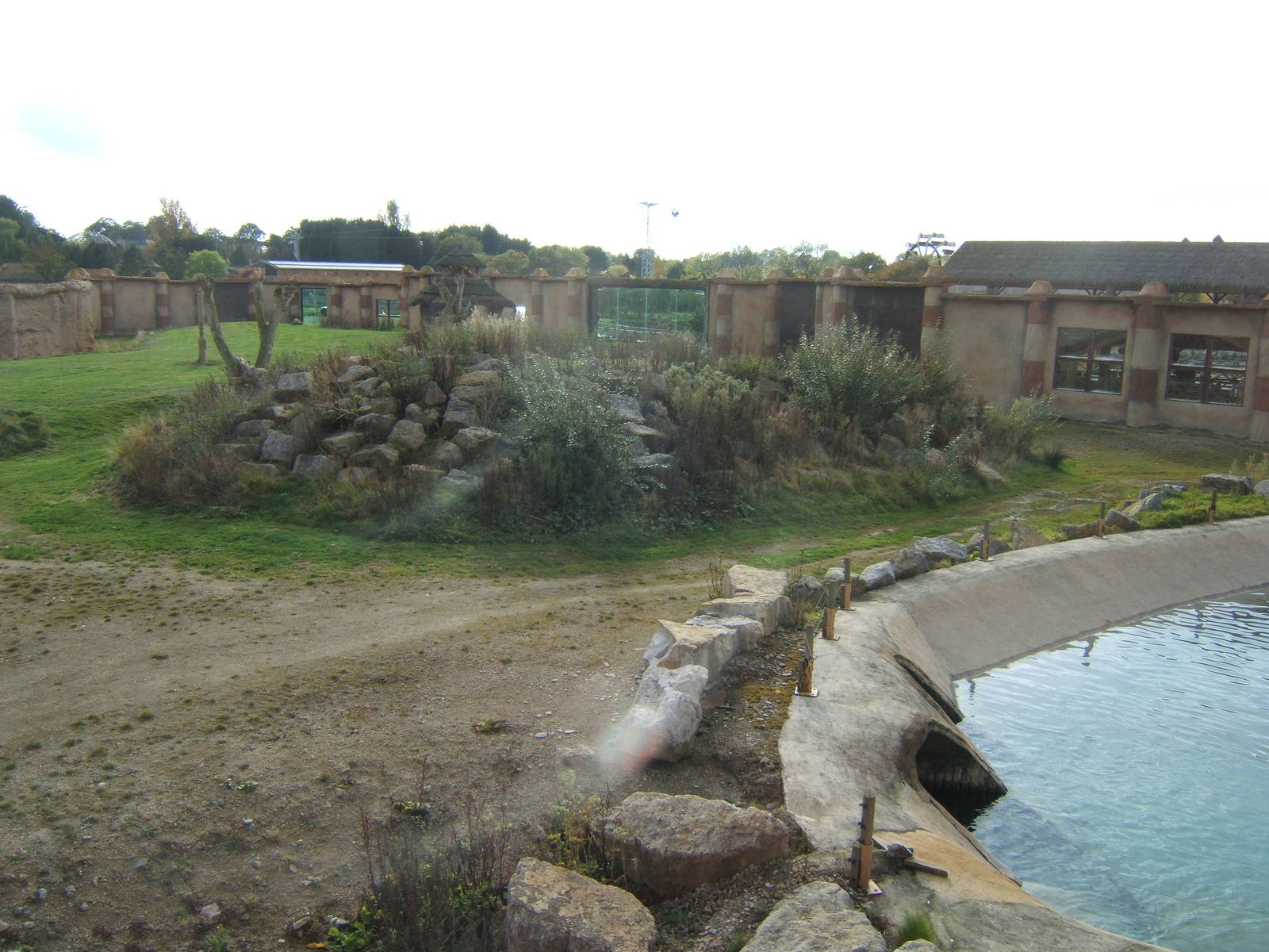 View of Lion Enclosure