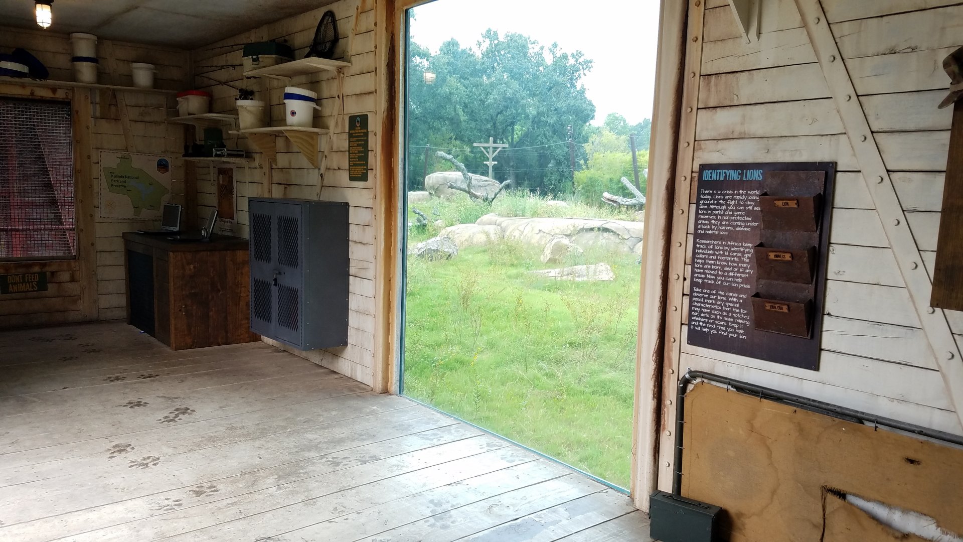 View of lion exhibit from "Researchers' Hut"