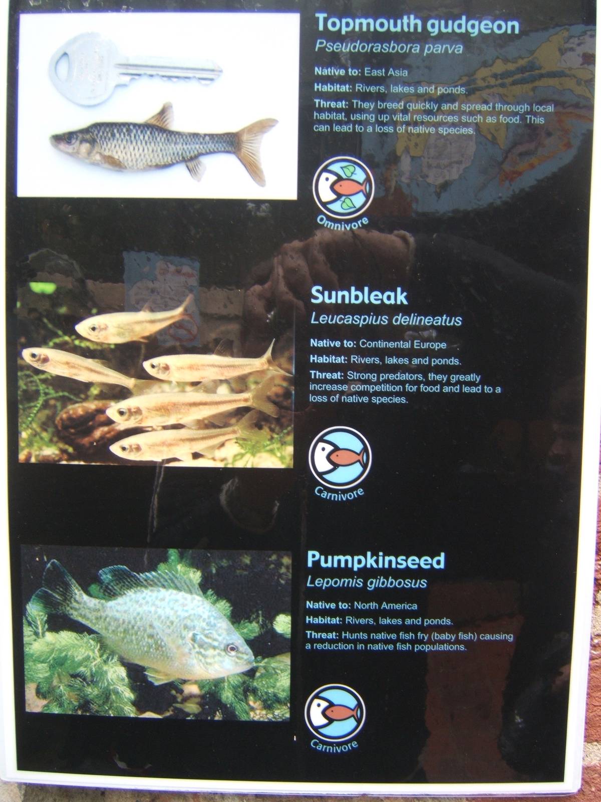 View of list of species in the new Invasive Species Exhibit in the Aquarium