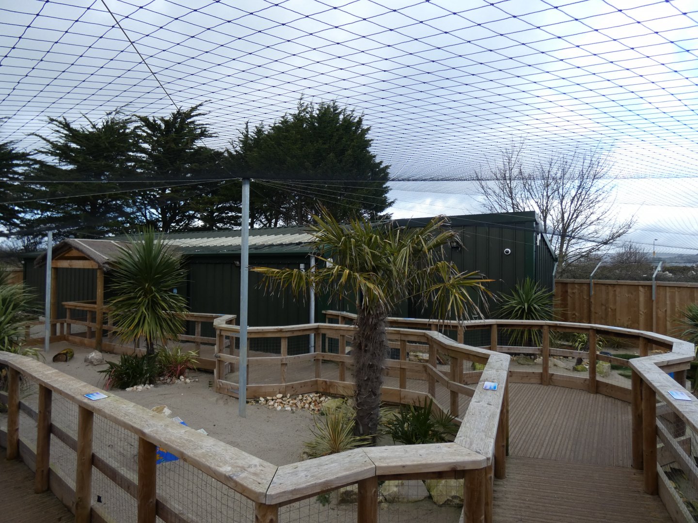 View of Little Blue Penguin outdoor enclosure