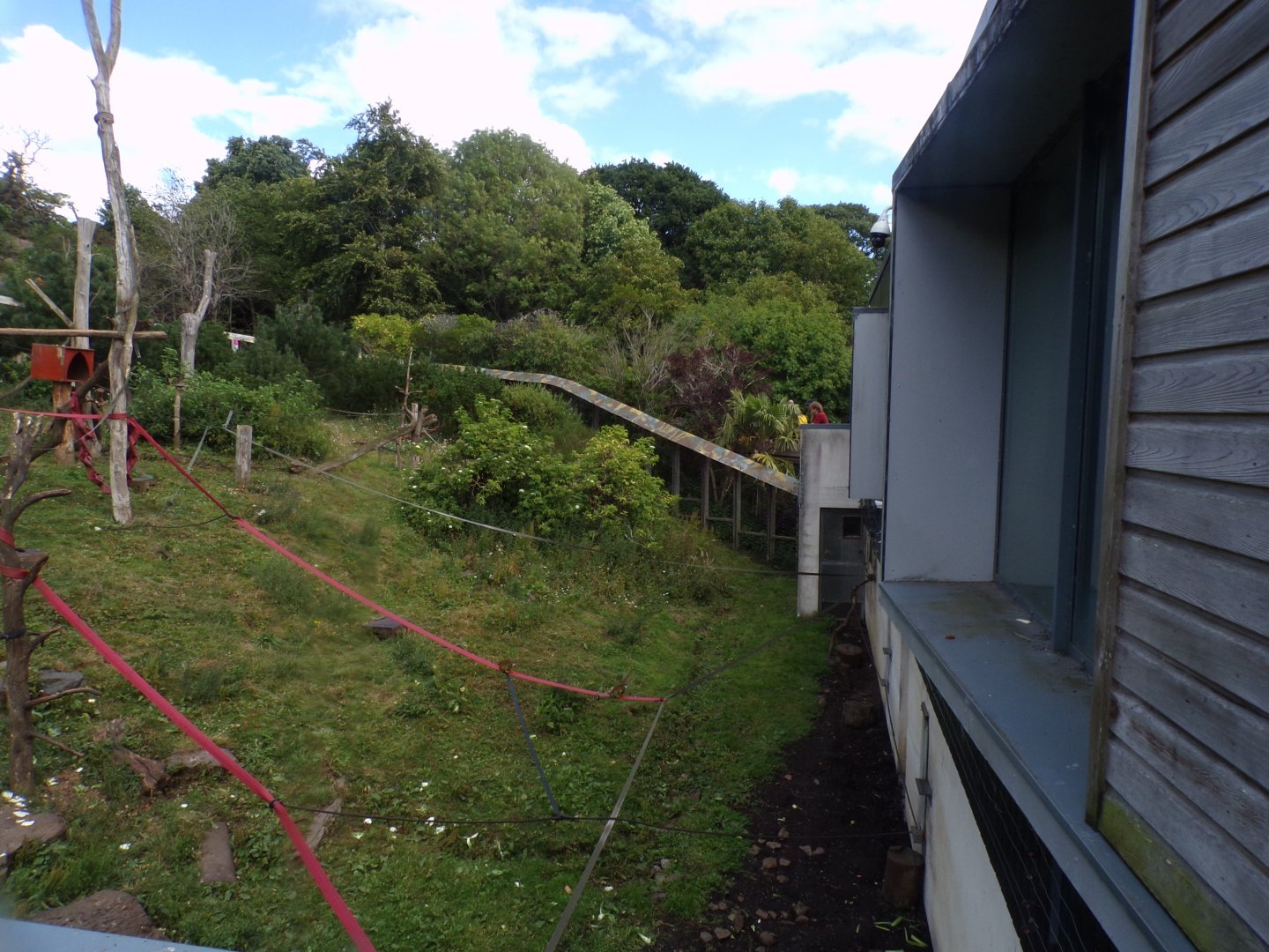 View of Living Links outdoor area east 18.7.25
