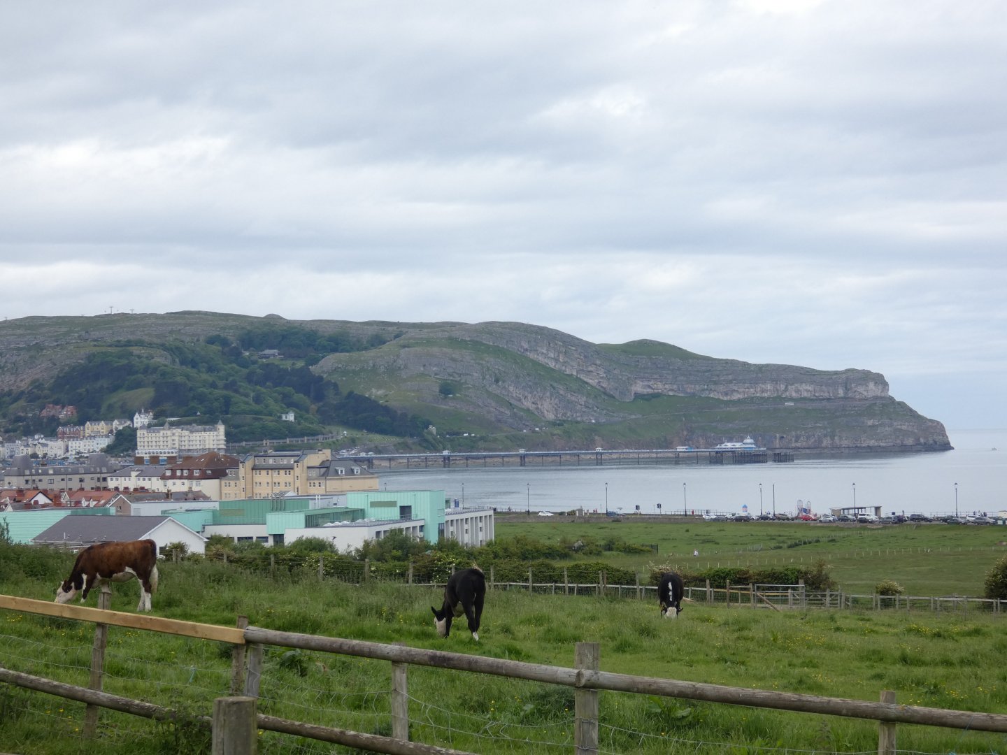 View of Llandudno