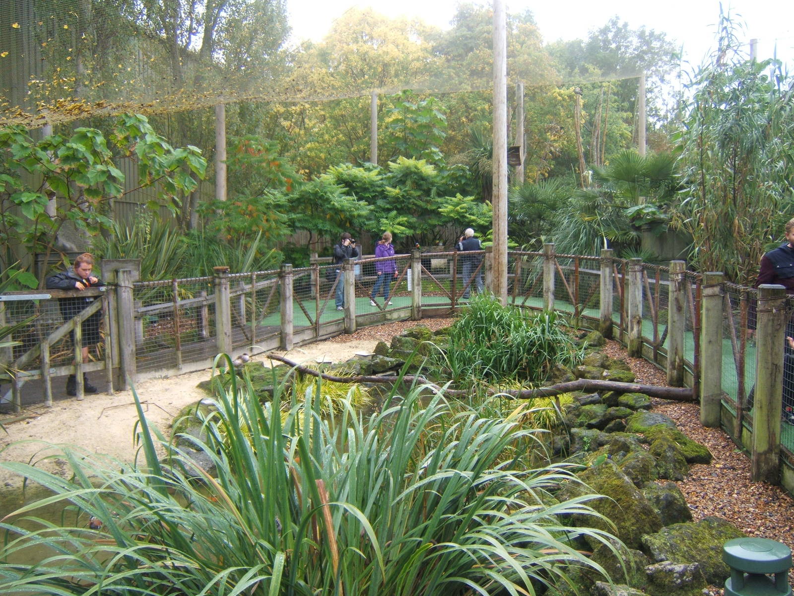View of Lorikeet lagoon