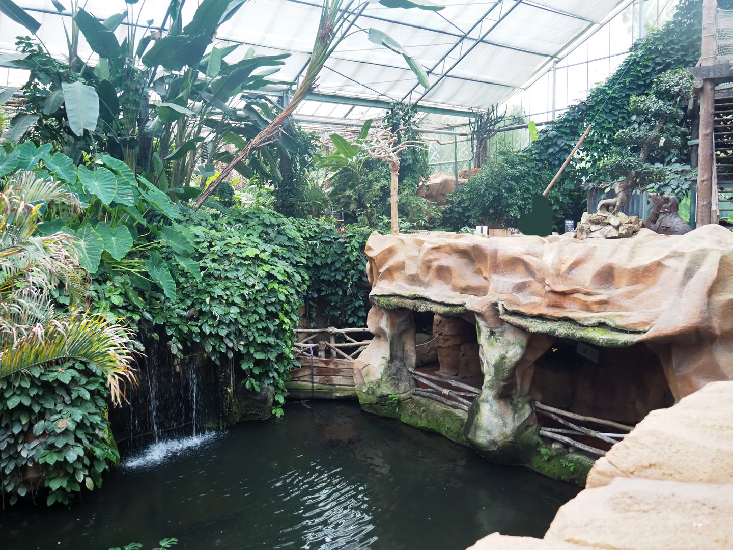 View of lower visitor area in Oasis, with Large hairy armadillo exhibit above it, 2022-09-14
