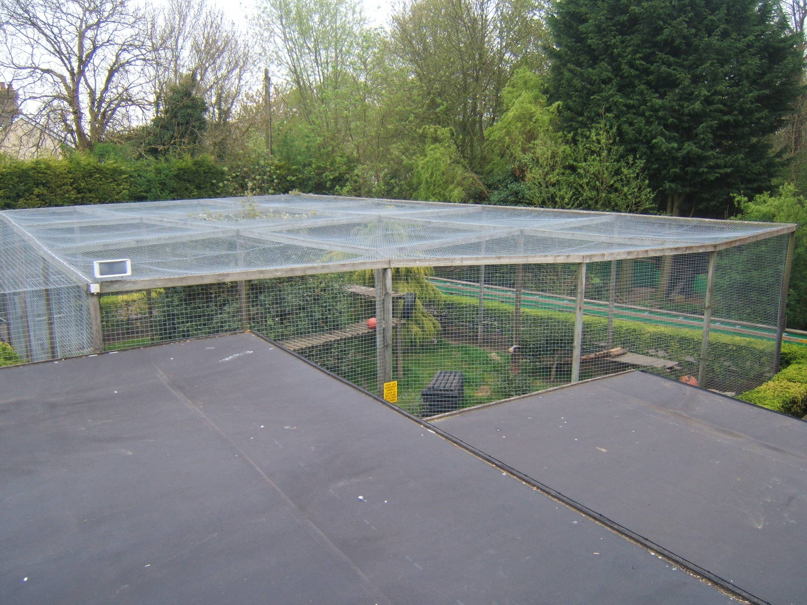 View of Lynx enclosure from above