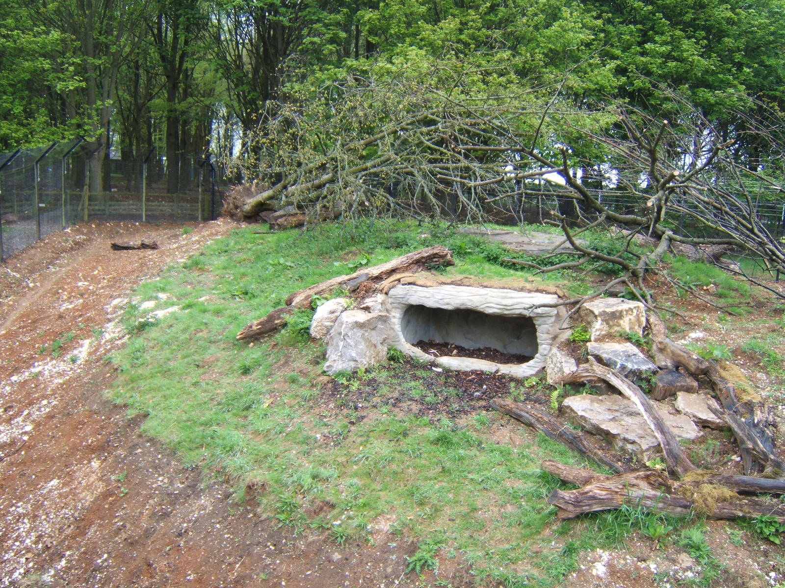 View of Lynx enclosure