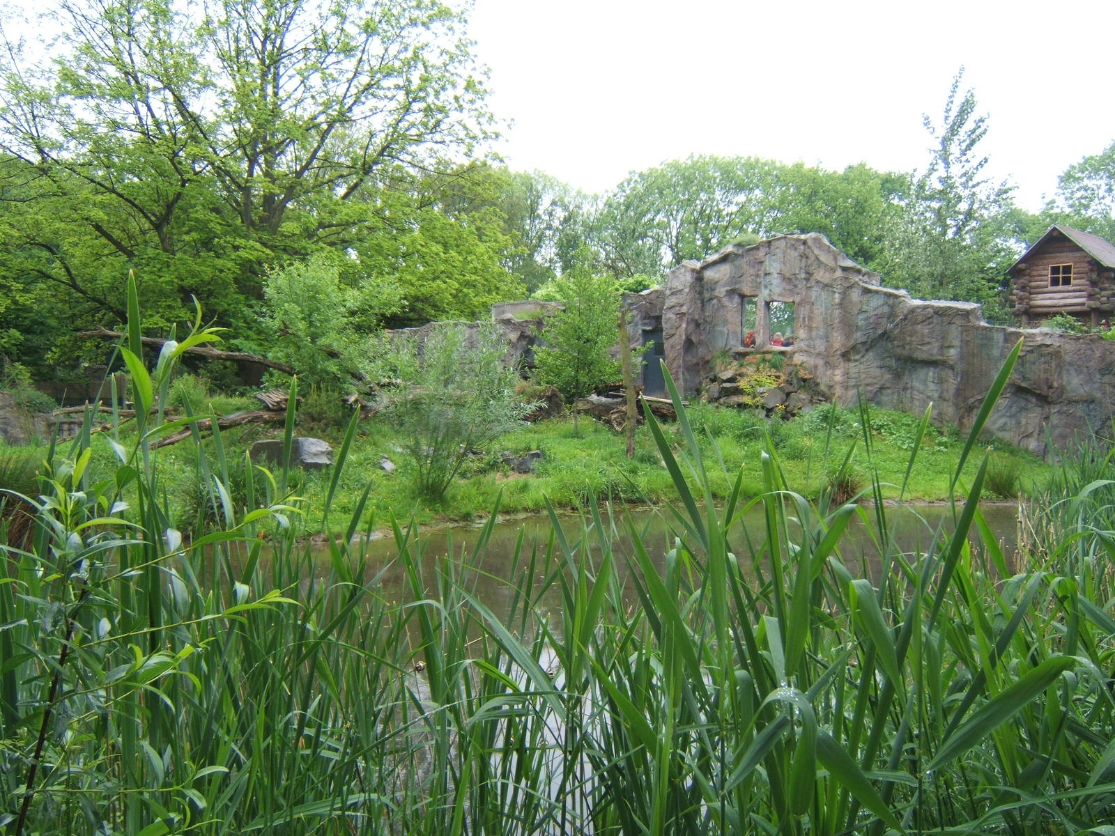 View of Lynx enclosure