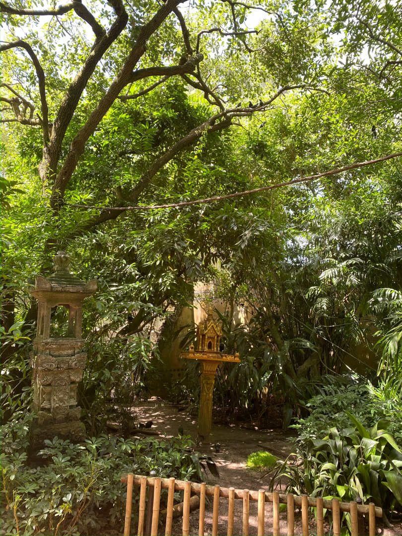 View of Maharajah Jungle Trek Aviary