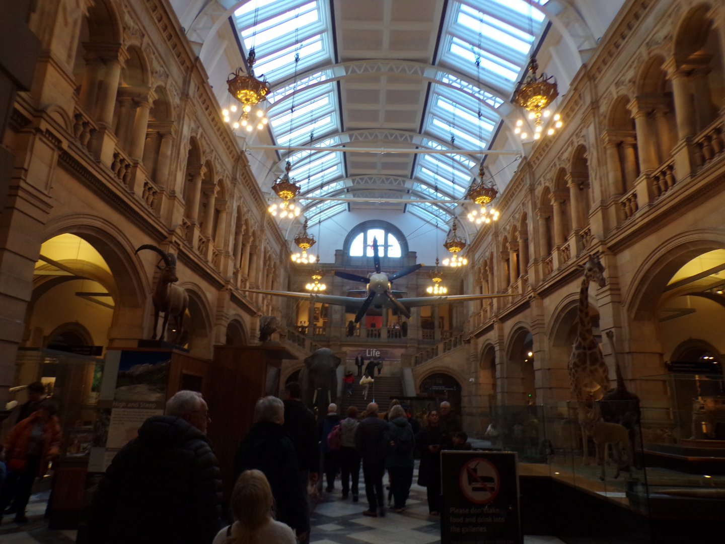 View of main animal hall (taken at Kelvingrove museum) 12.2.24