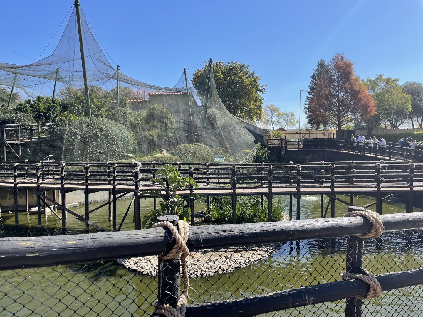 View of Main Aviary - May 2021