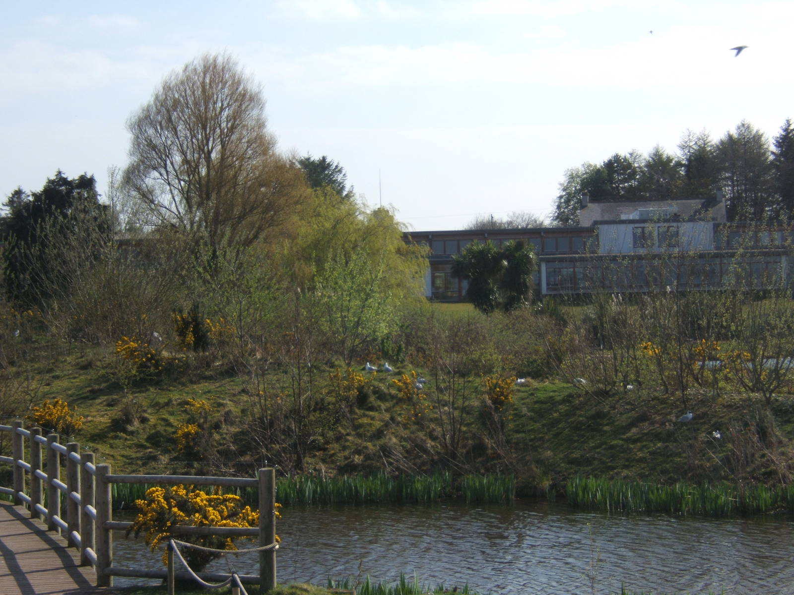 View of main building from wild area
