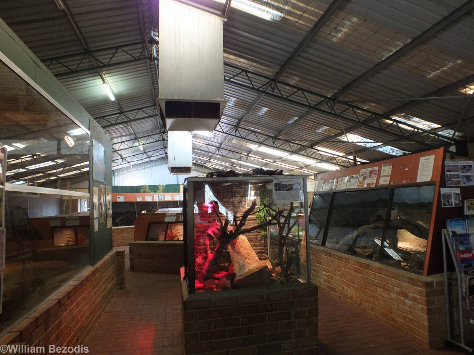 View of Main Reptile Barn