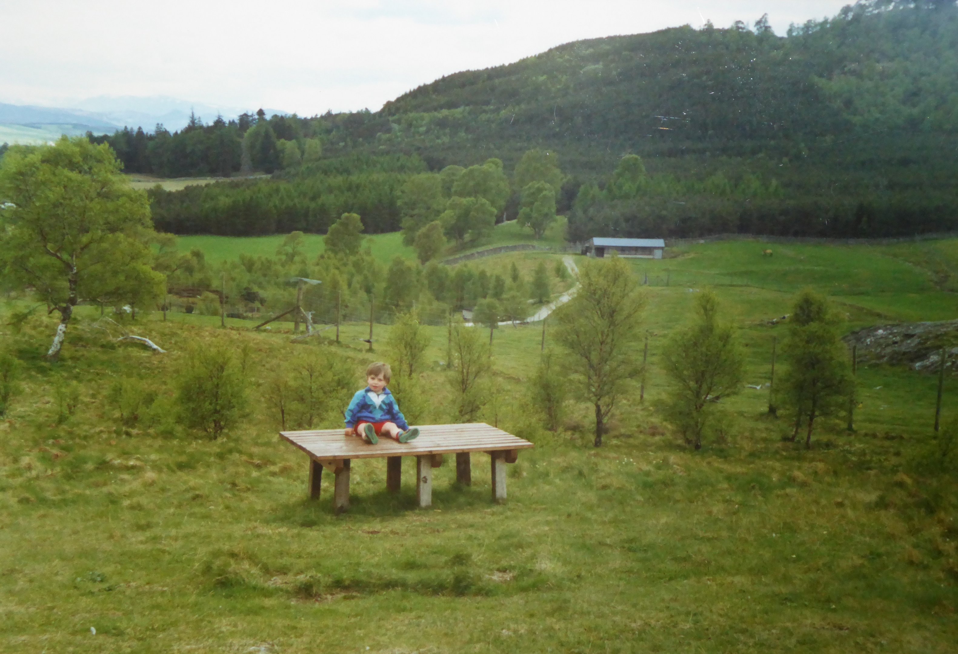View of main reserve at Highland Wildlife Park - circa 1989