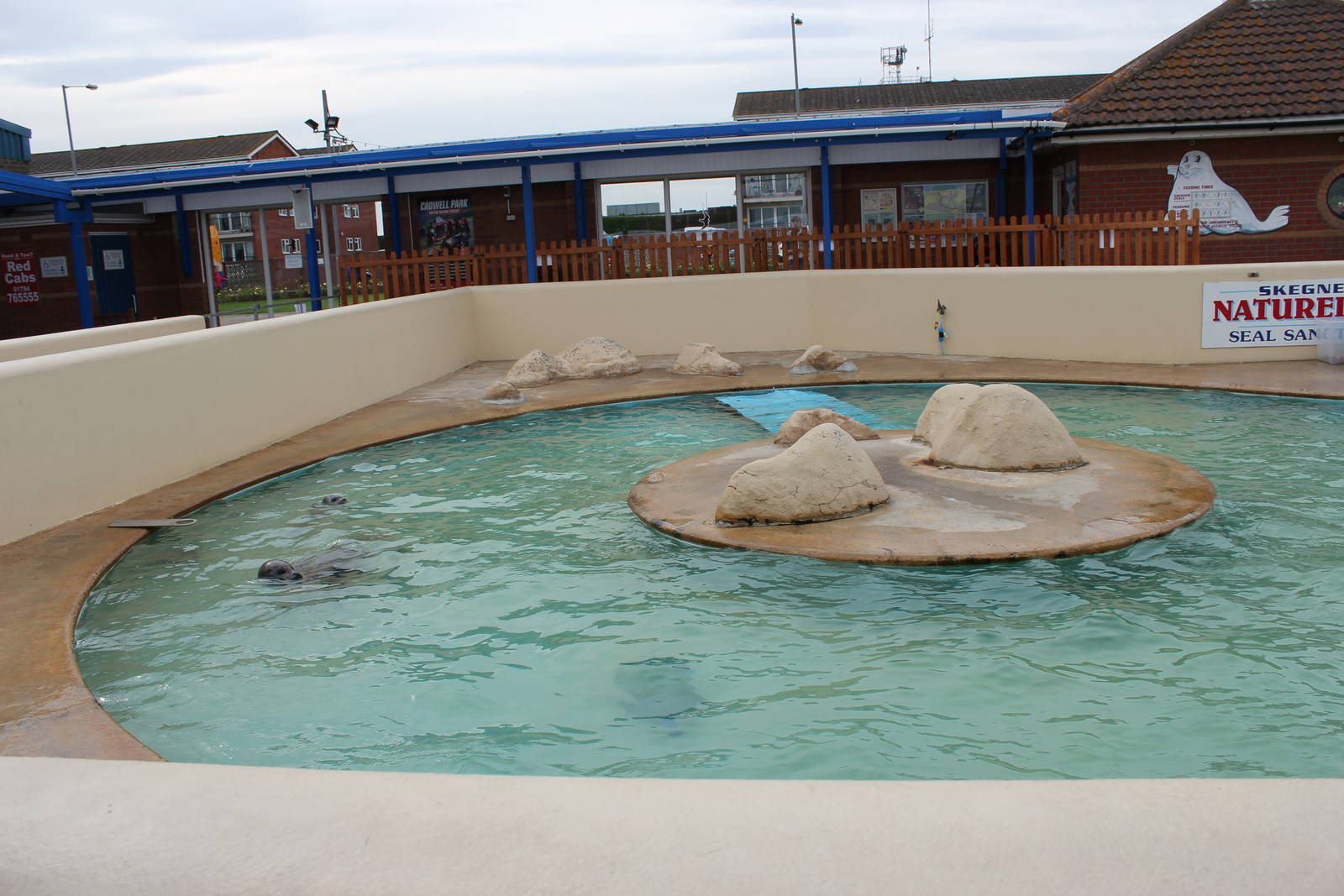 View of main seal pool 1