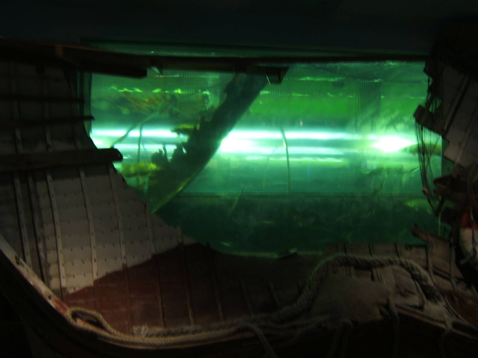 View of main tank with tunnel