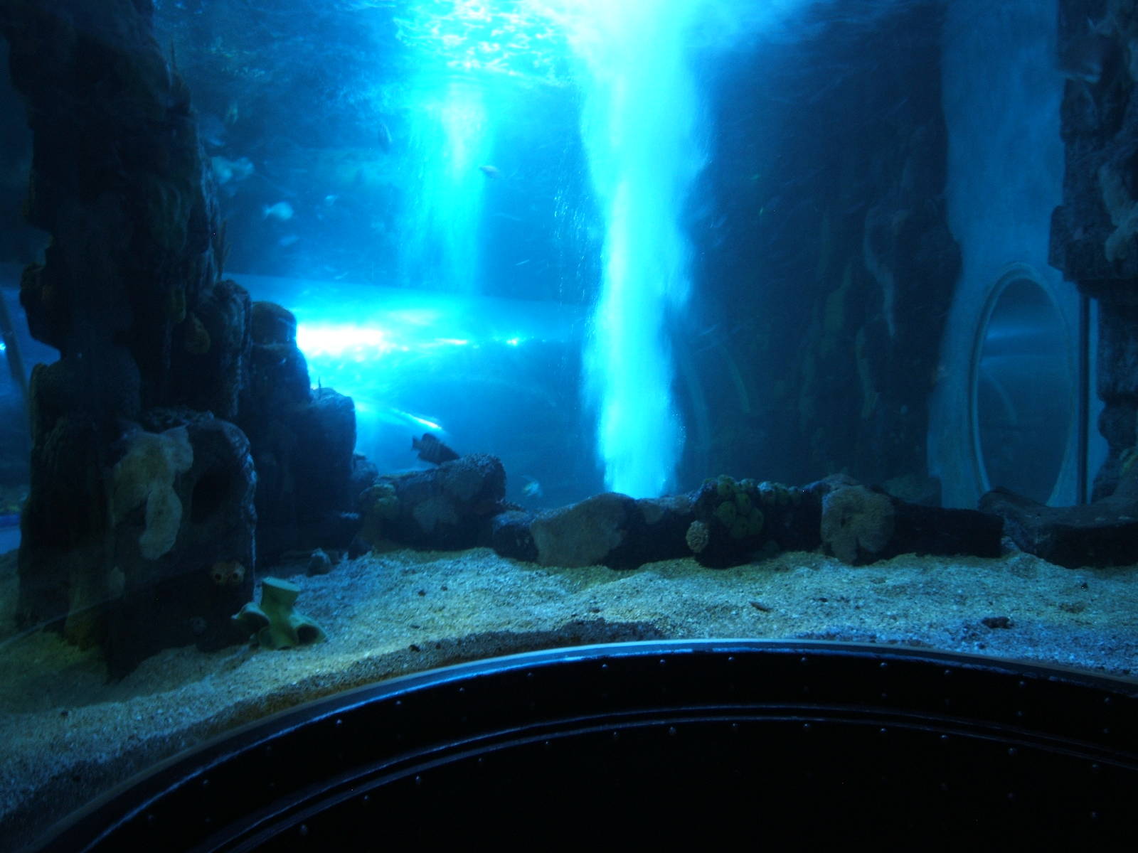 View of main tank