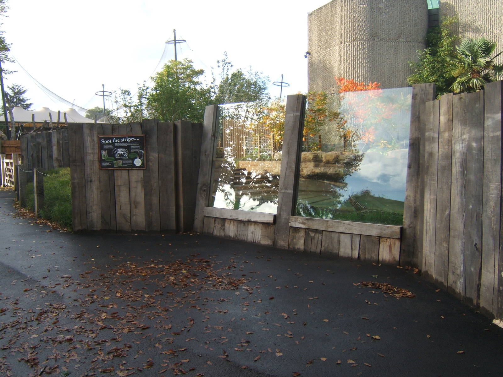 View of Malayan Tapir enclosure