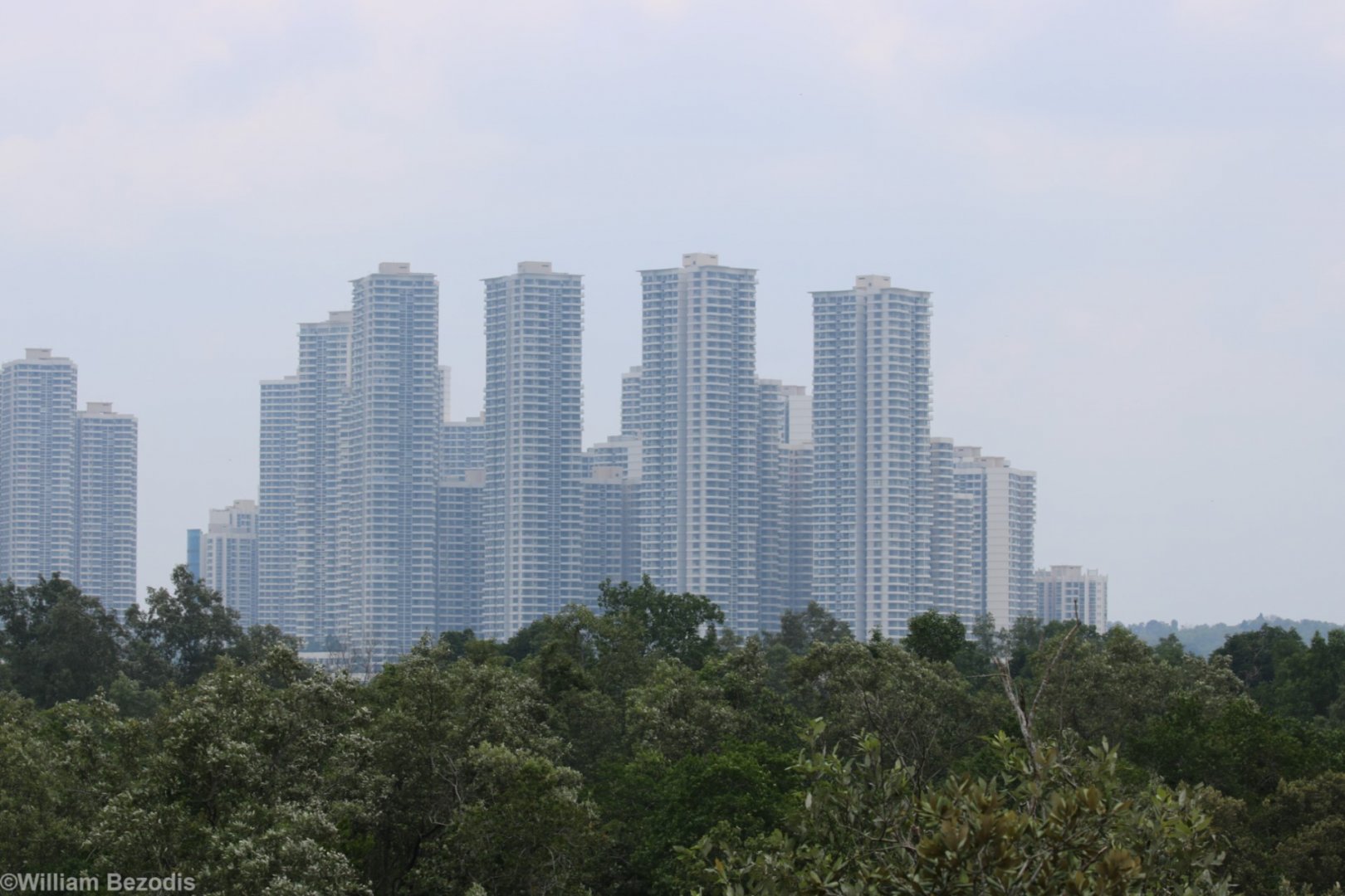 View of Malaysia from Singapore (yes, that is the right way around)