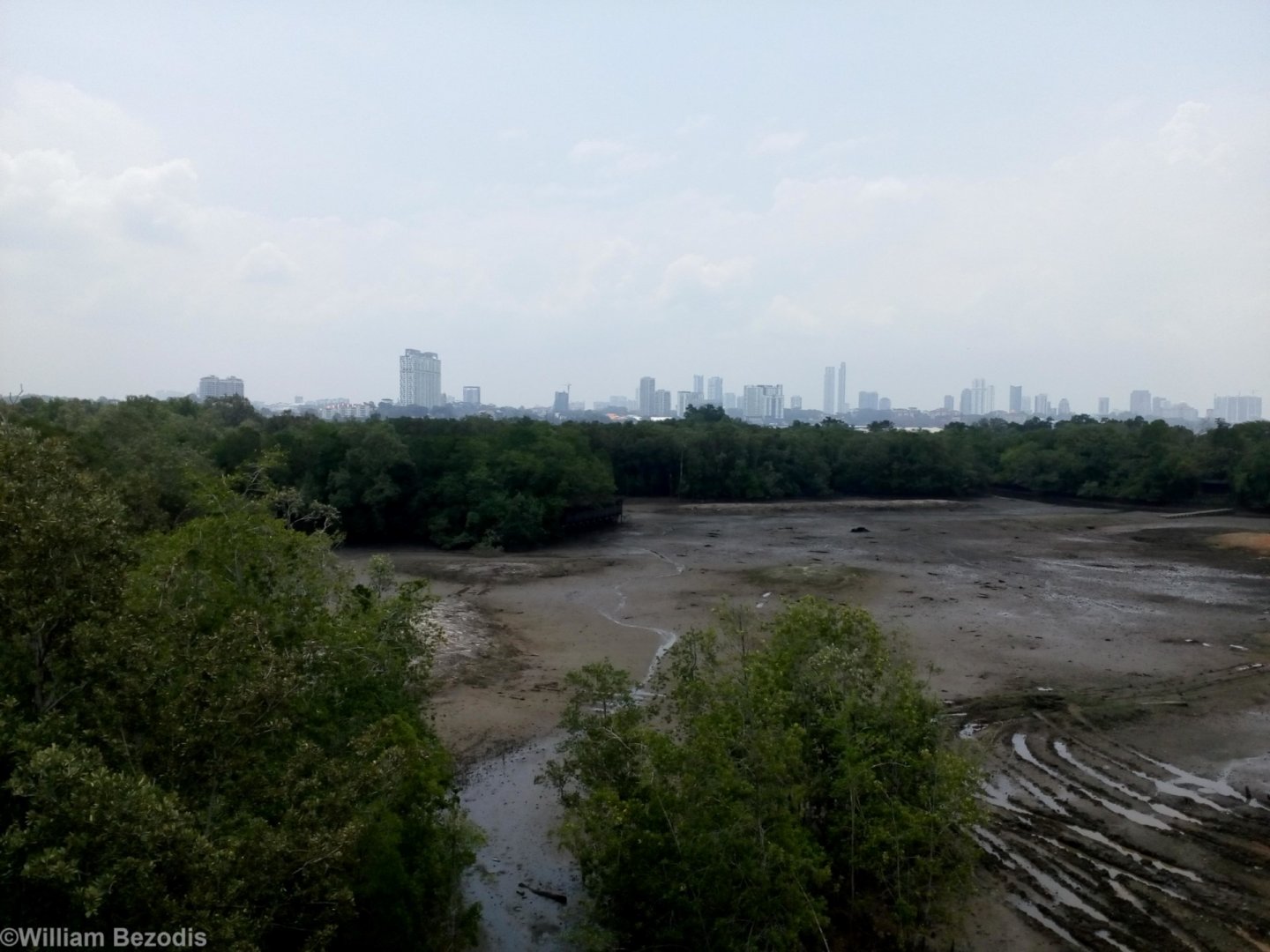 View of Malaysia from Singapore (yes, that is the right way around)