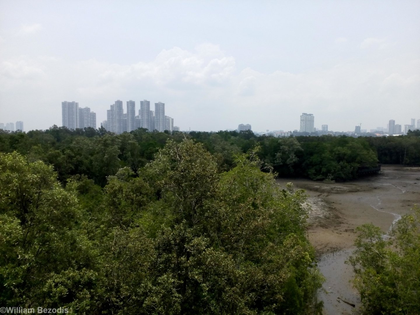 View of Malaysia from Singapore (yes, that is the right way around)