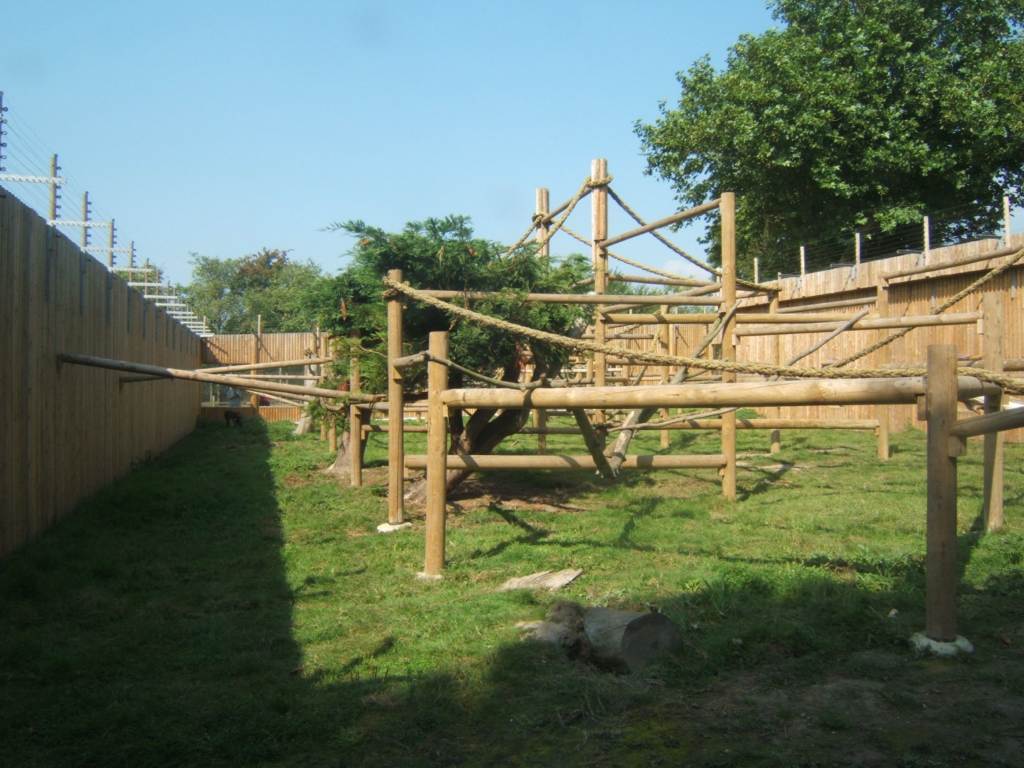 View of Mandrill enclosure 27/08/2017