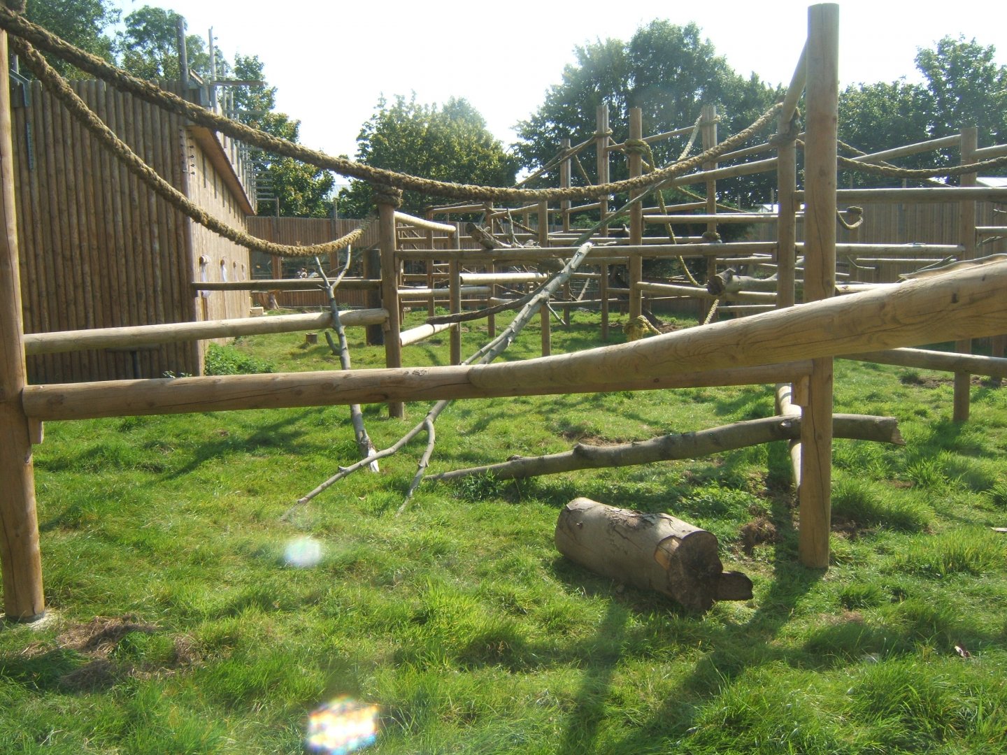 View of Mandrill enclosure 27/08/2017