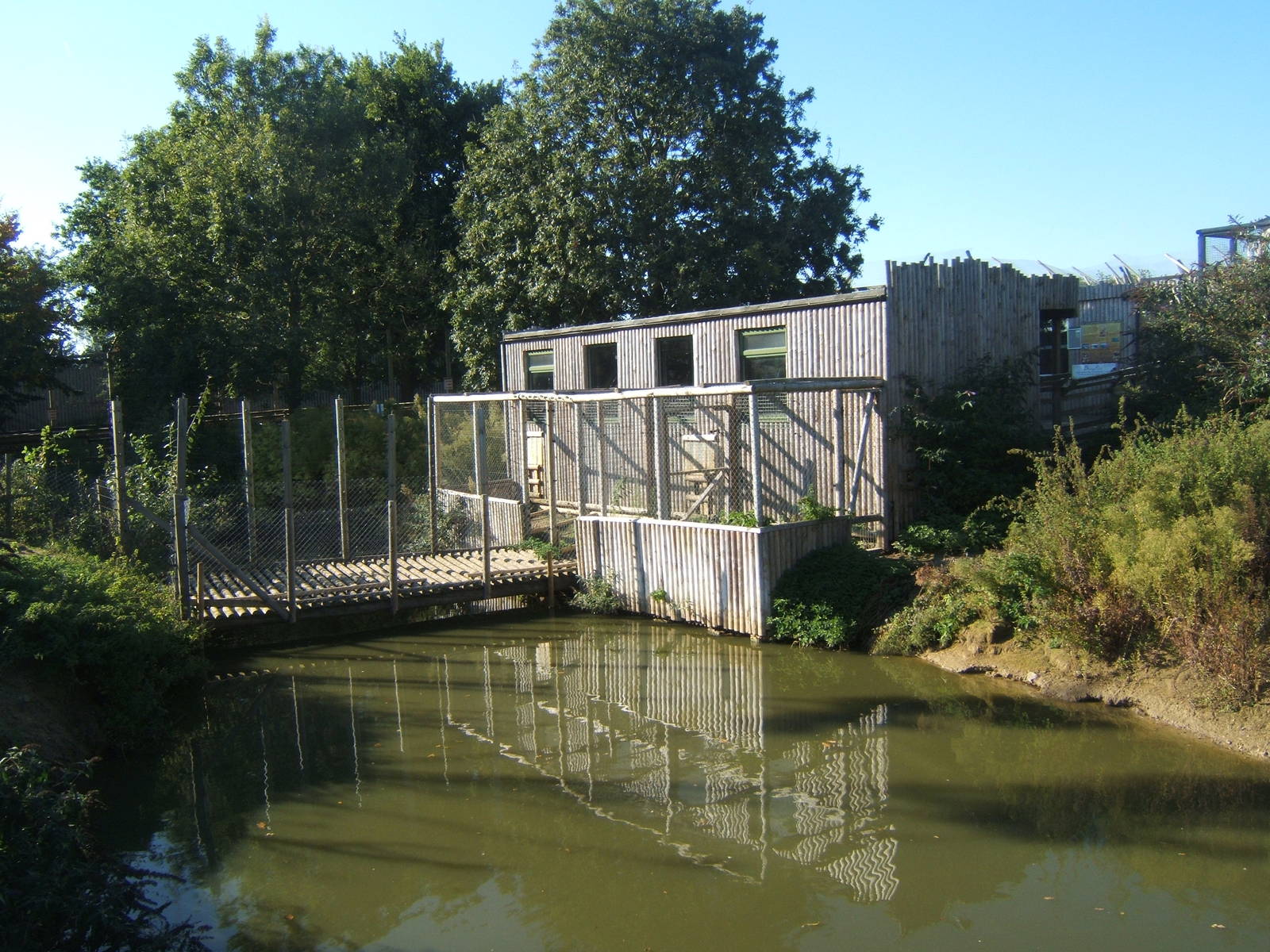 View of Mandrill House