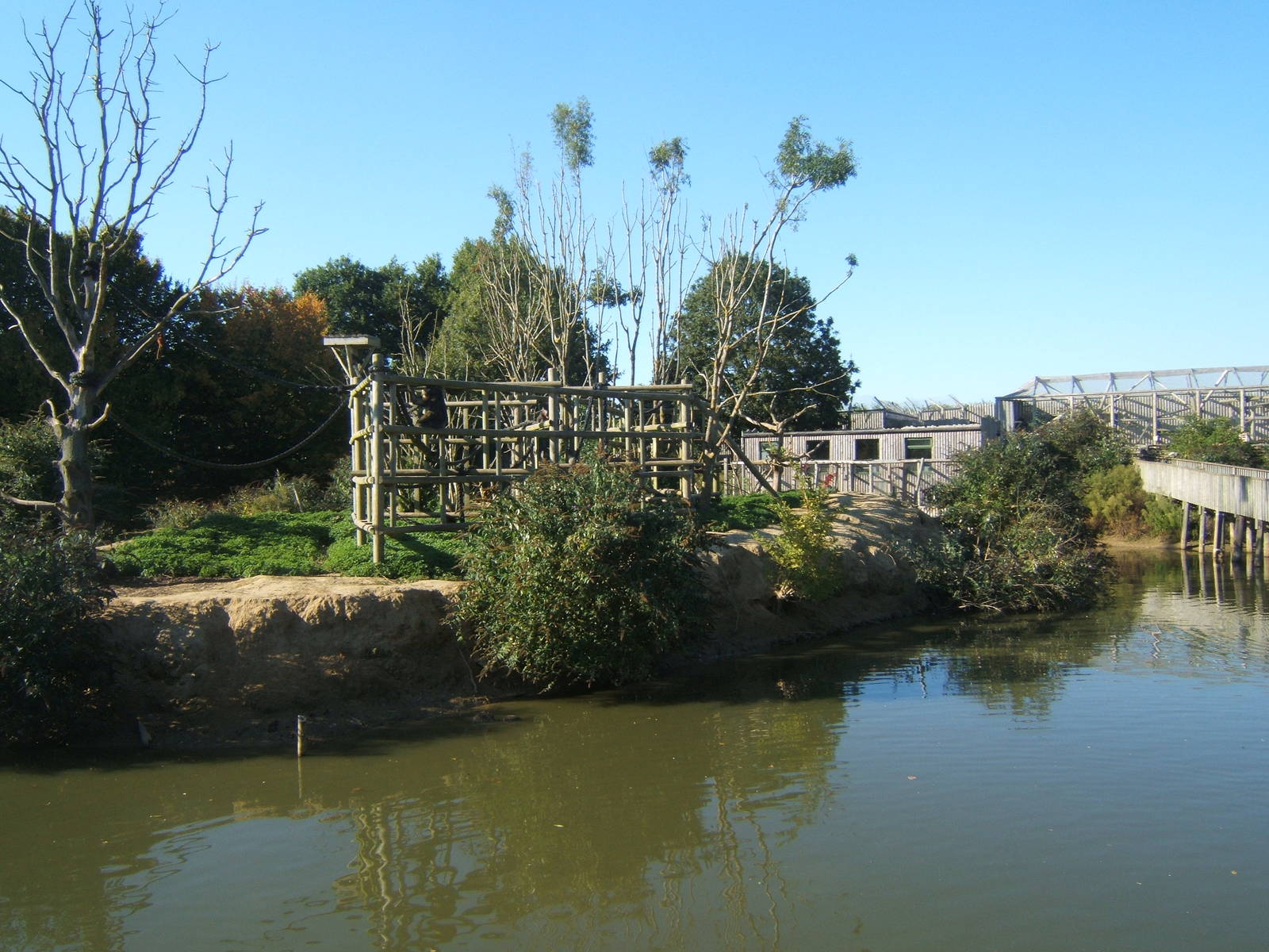 View of Mandrill Island