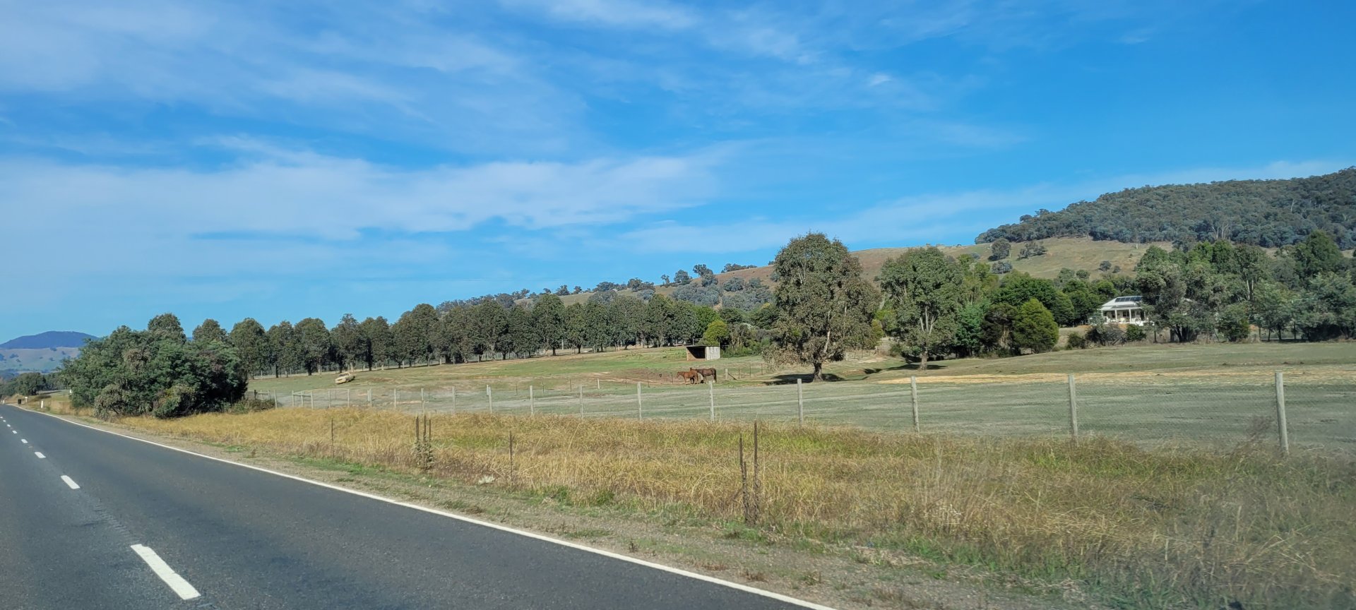 View of Mansfield Zoo from the road
