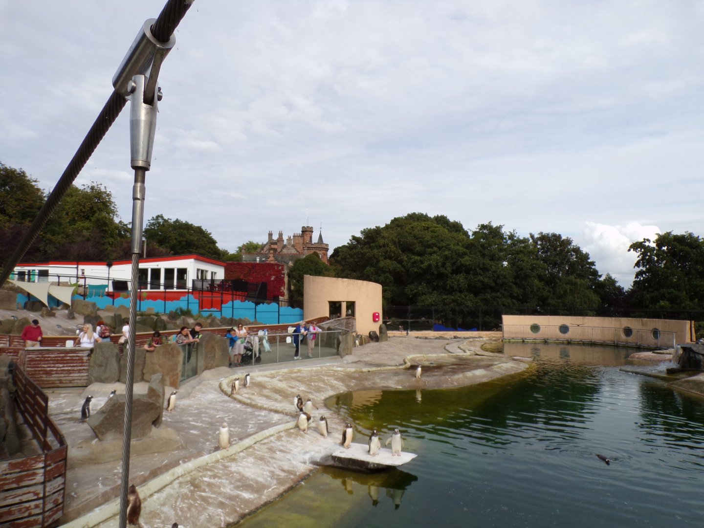 View of mansion house from Penguin enclosure 14.8.23
