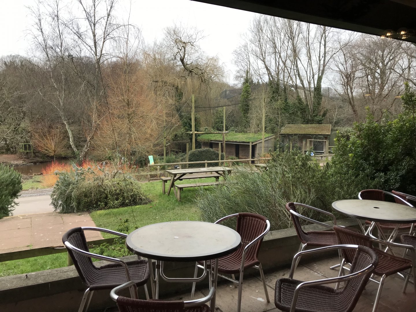 View of Marabou aviary from restaurant 050119