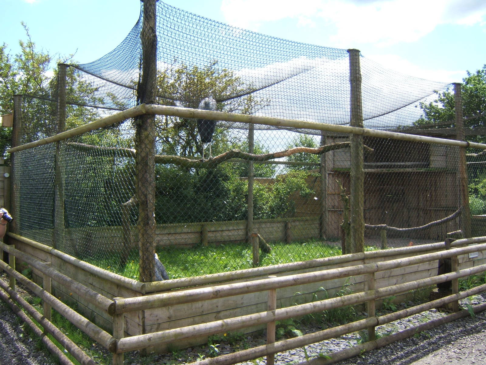 View of Marabou Stork Aviary