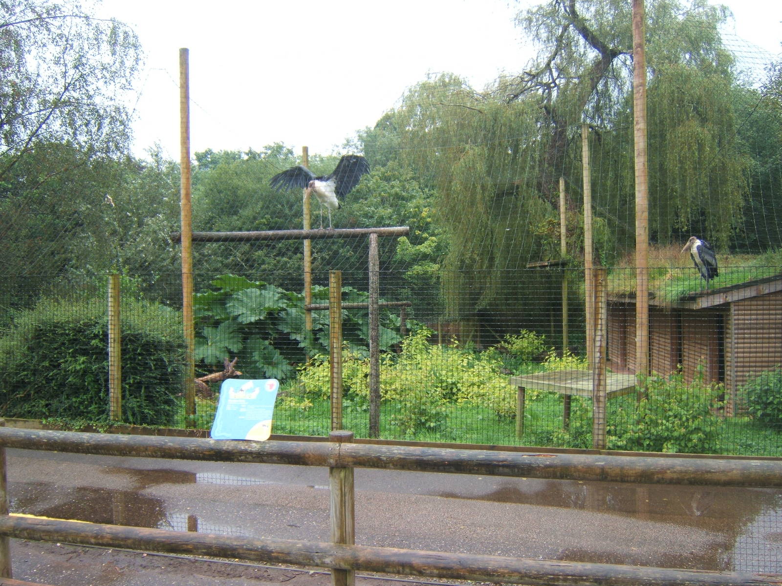 View of Marabou Stork Aviary