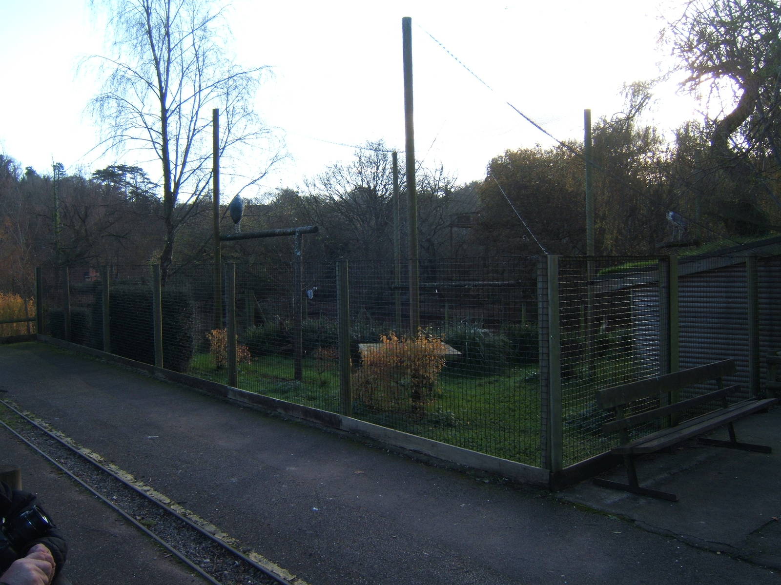 View of Marabou Stork Aviary