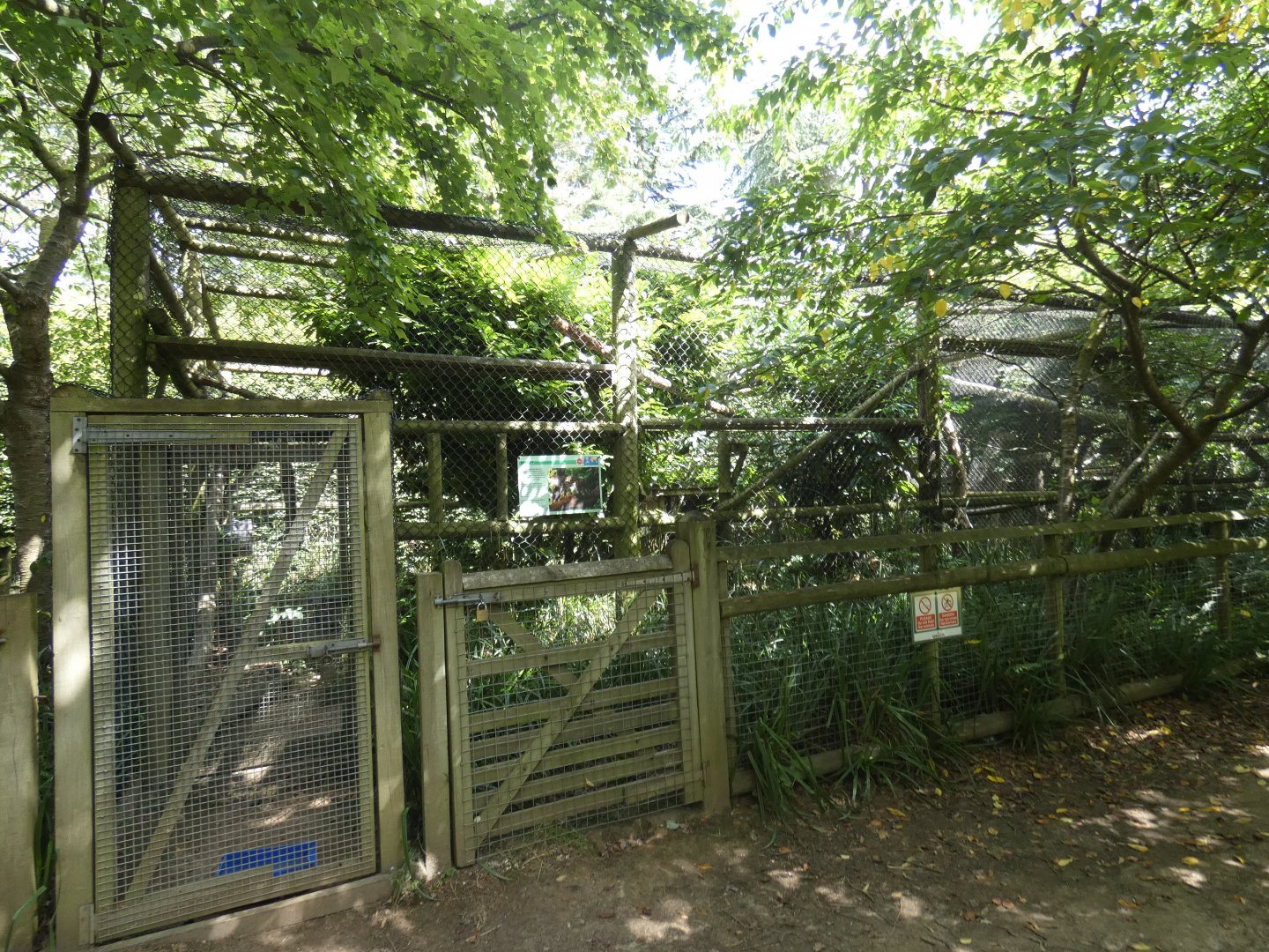 view of Margay enclosures
