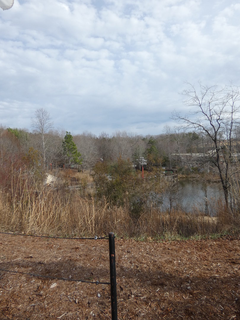 View of marsh from North America Plaza