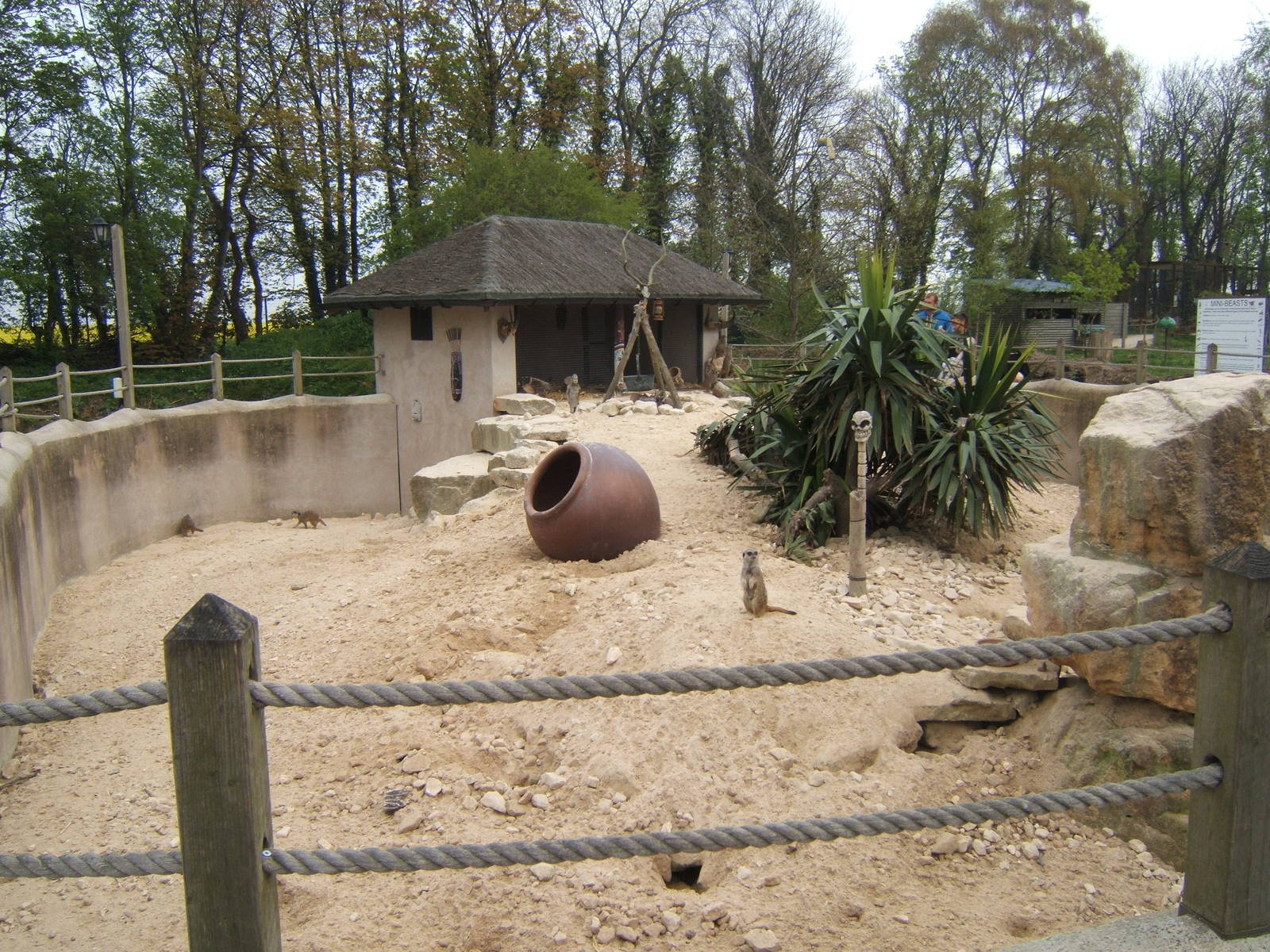 View of Meerkat and Crested Porcupine encklosure