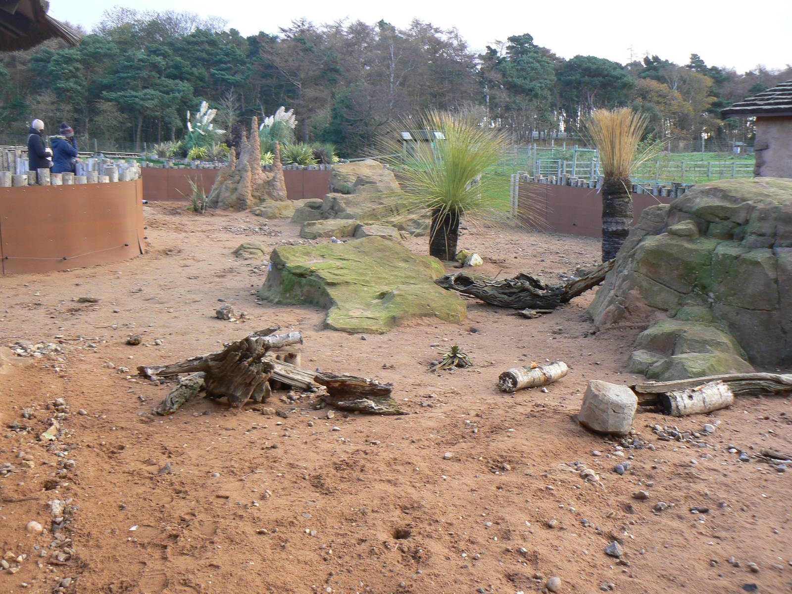 View of Meerkat and Mongoose Mansion - 22 November 2015