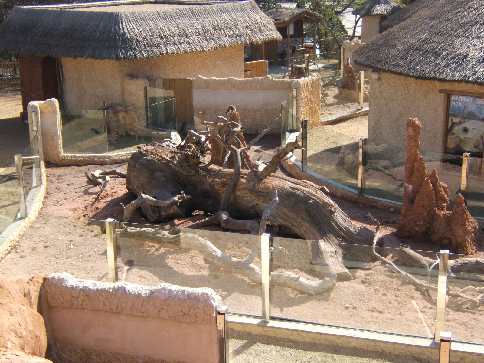 View of Meerkat complex