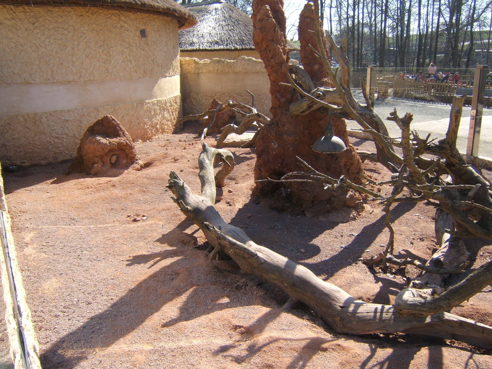 View of Meerkat complex