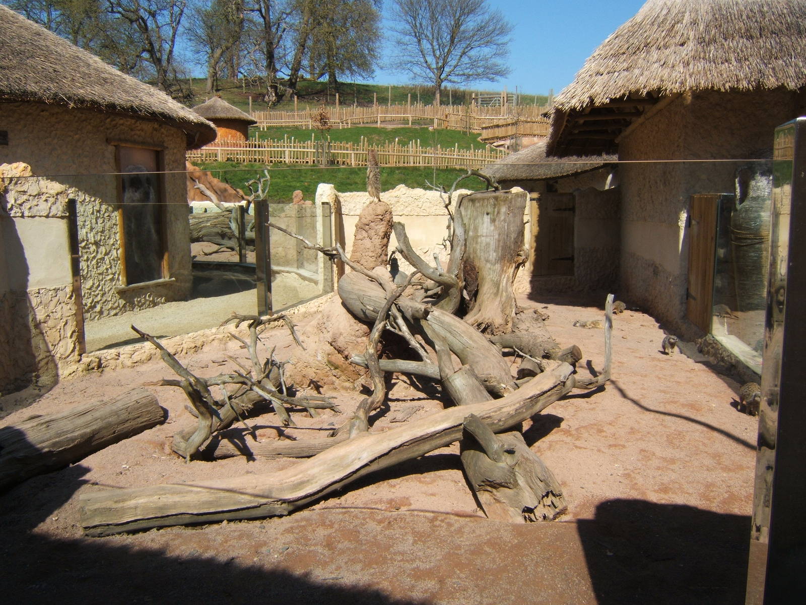 View of Meerkat complex