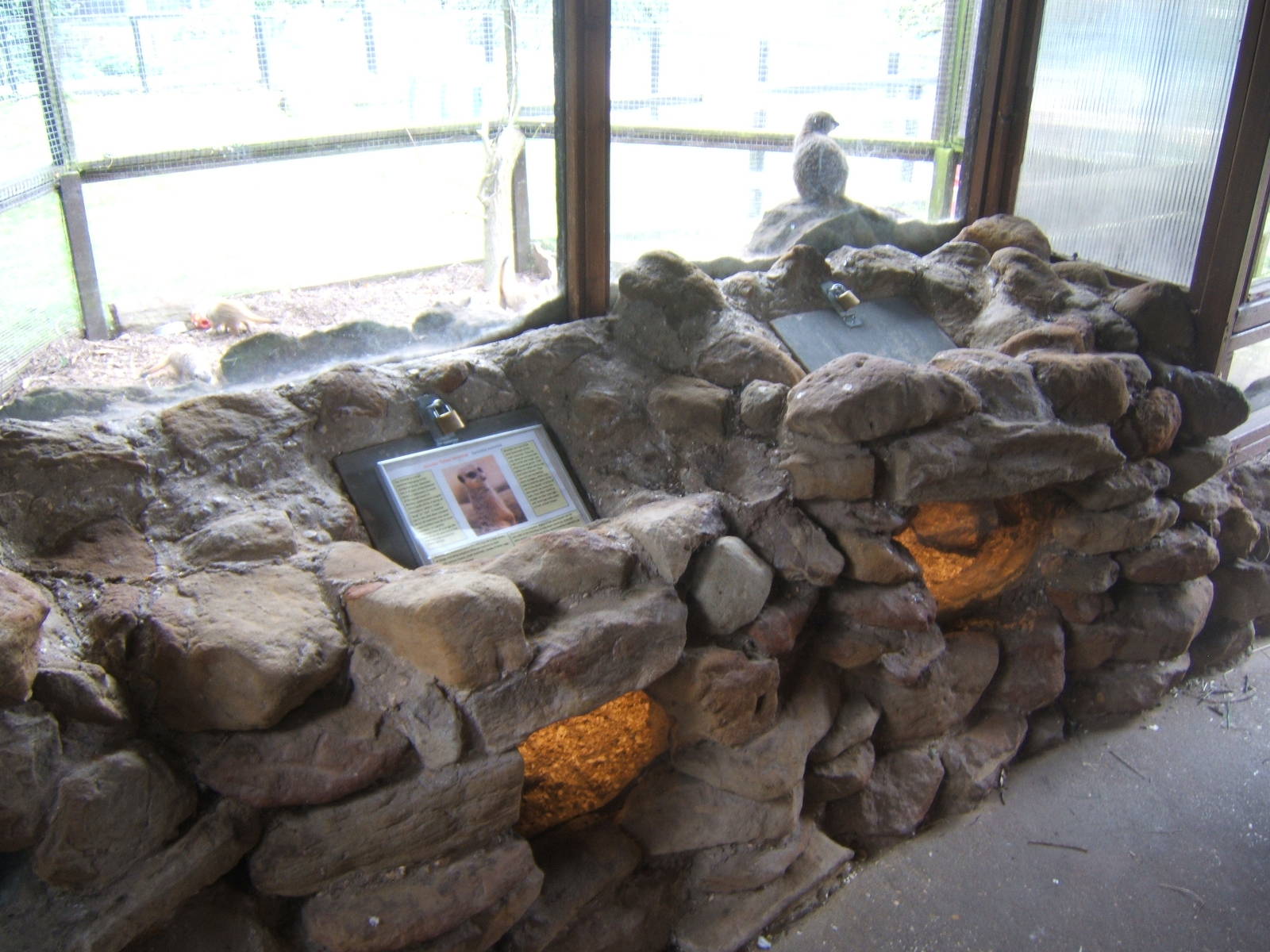 View of Meerkat dens