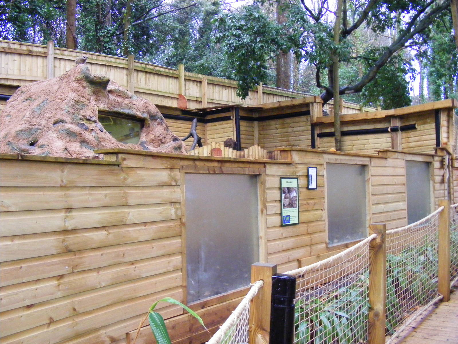 View of meerkat enclosure at Shaldon Zoo, 28 December 2010