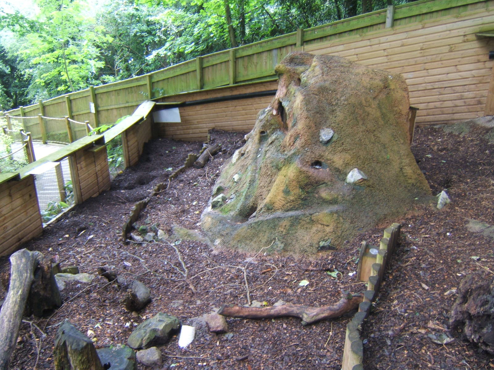 View of Meerkat enclosure