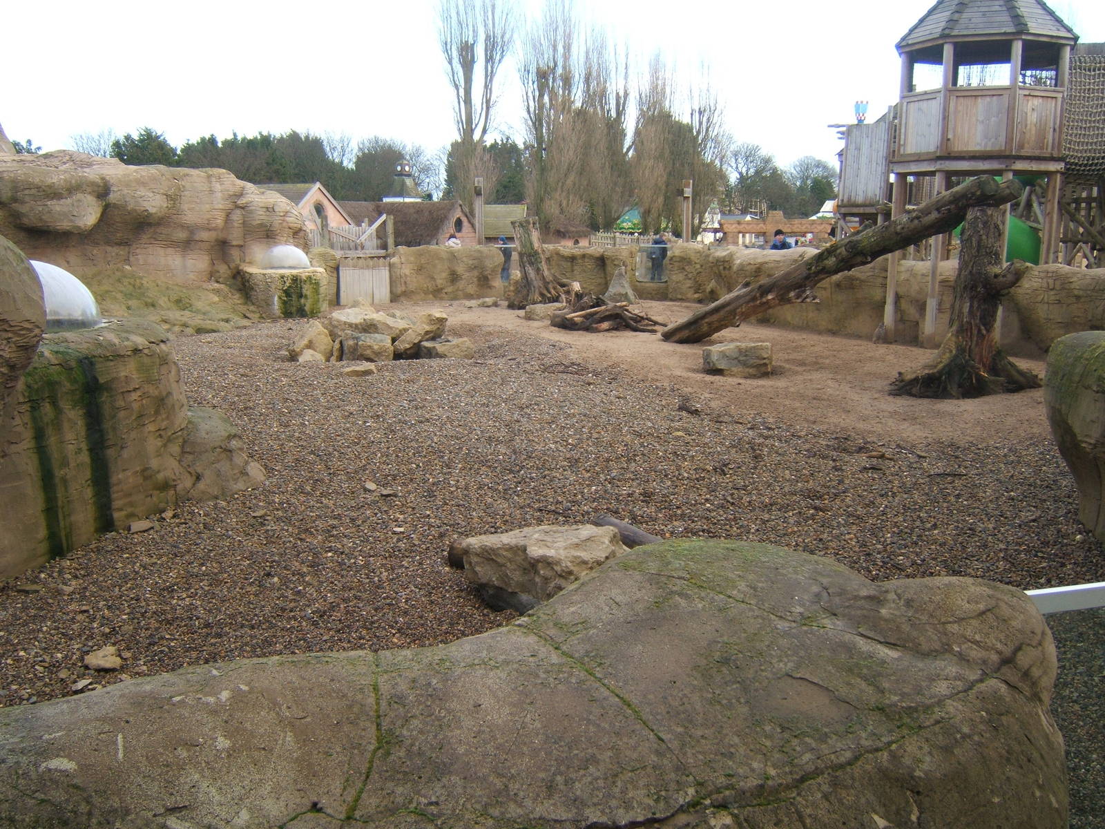 View of Meerkat enclosure