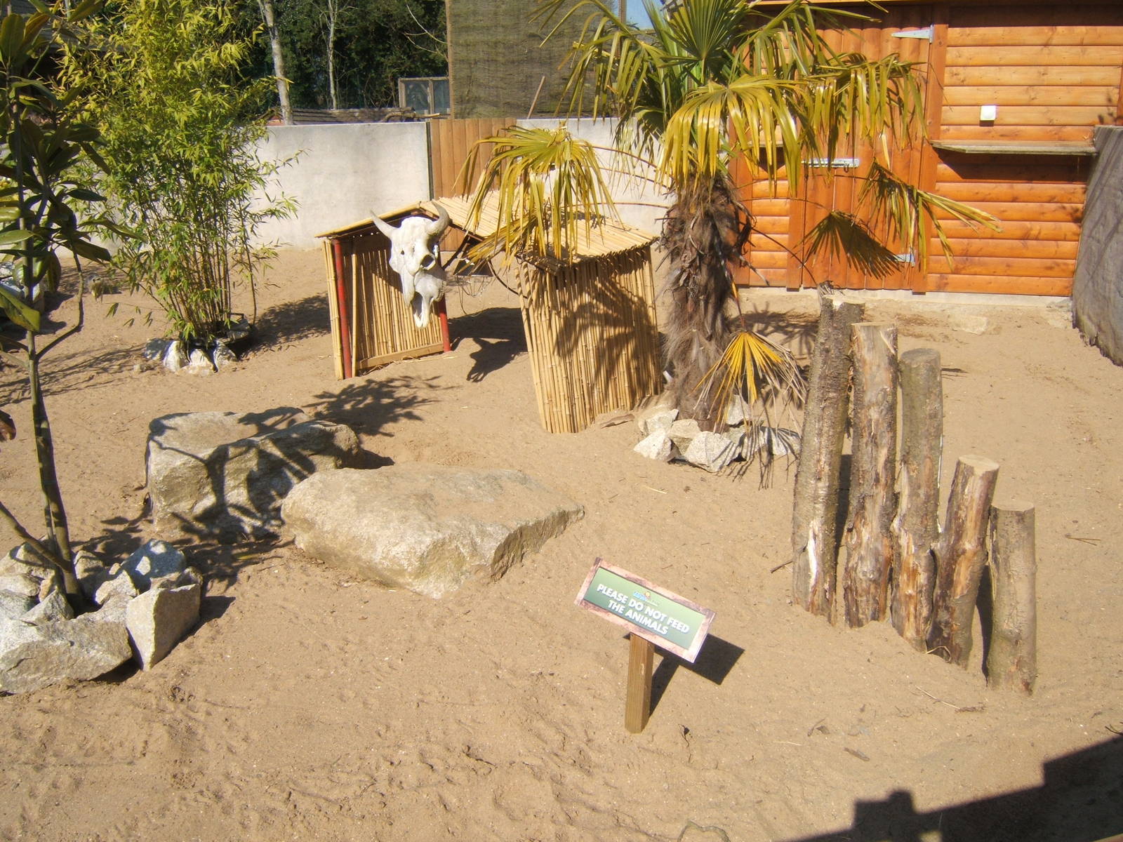 View of Meerkat enclosure