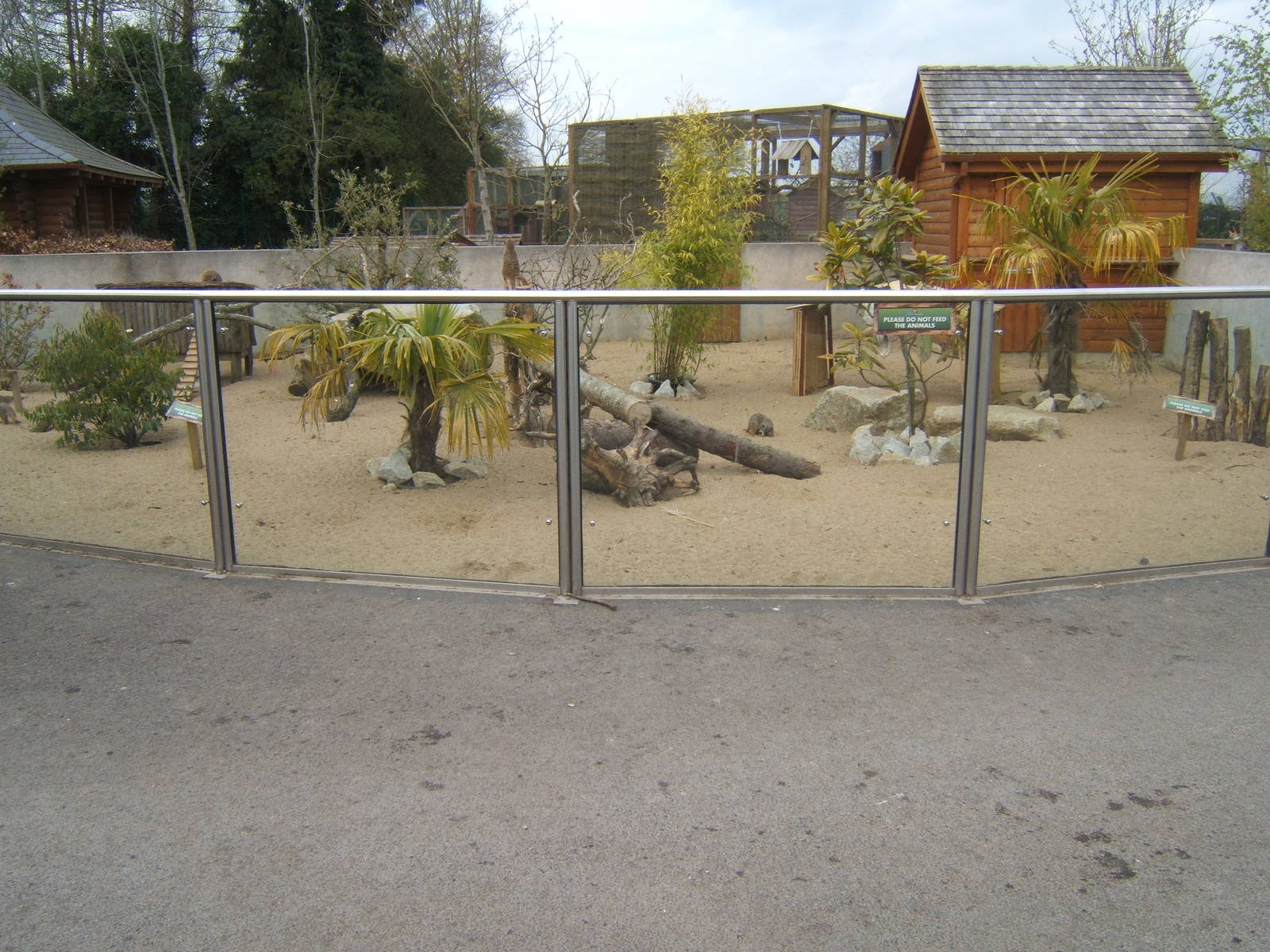 View of Meerkat enclosure