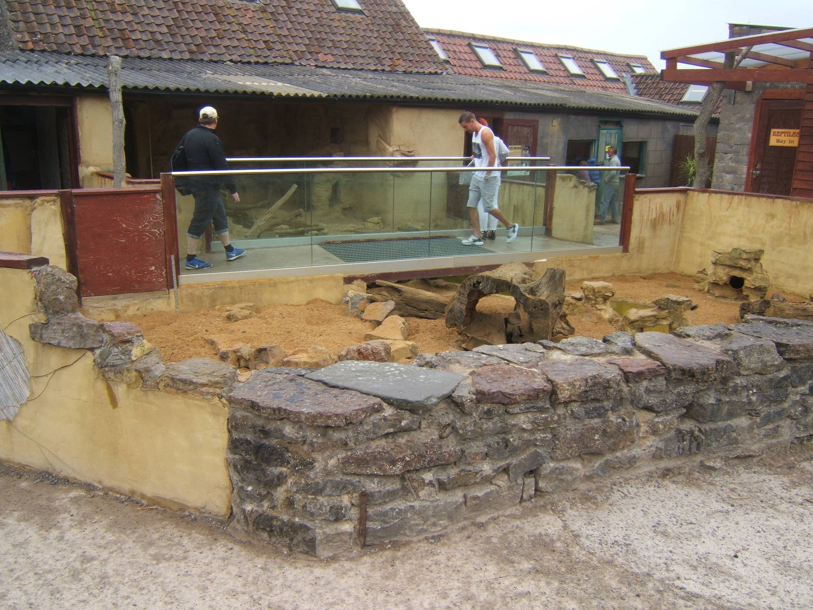 View of Meerkat enclosure