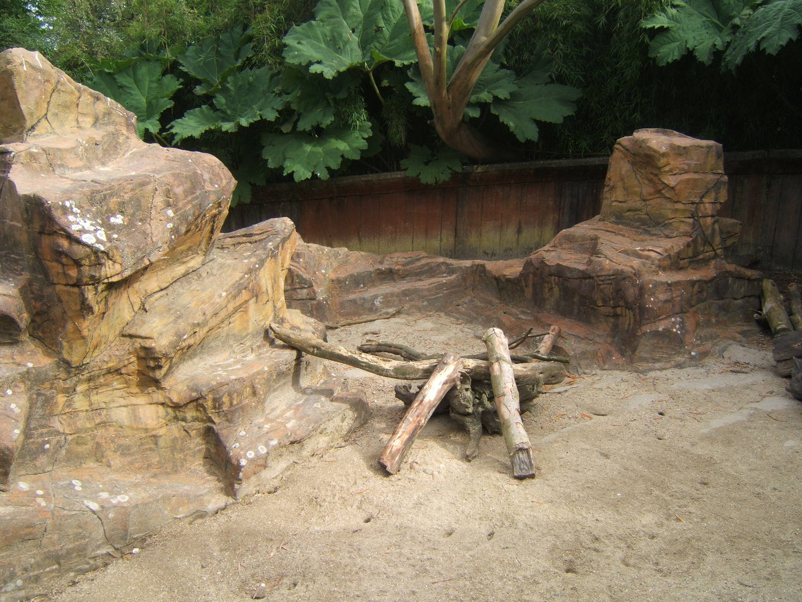 View of Meerkat enclosure