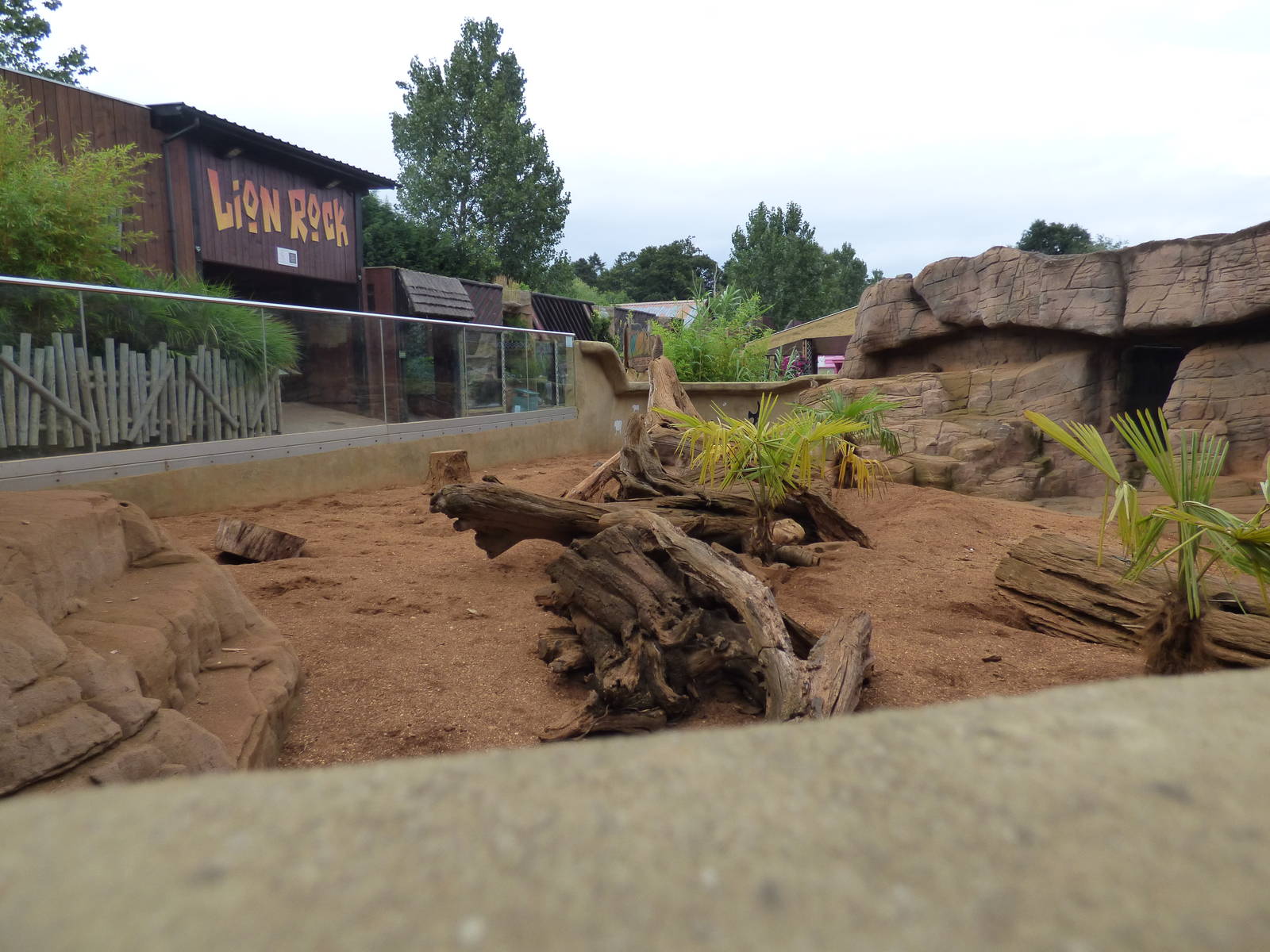 View of Meerkat Enclosure